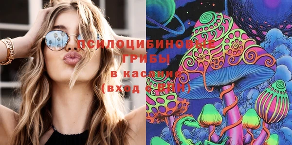 прущие грибы Саяногорск