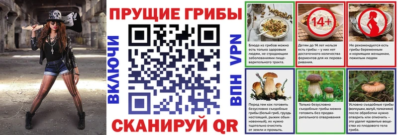 Галлюциногенные грибы MAGIC MUSHROOMS  блэк спрут вход  Зарайск 
